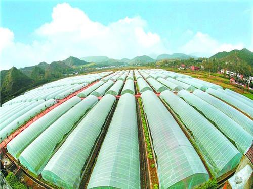空氣能熱泵如何給植物養(yǎng)殖創(chuàng)造環(huán)境？