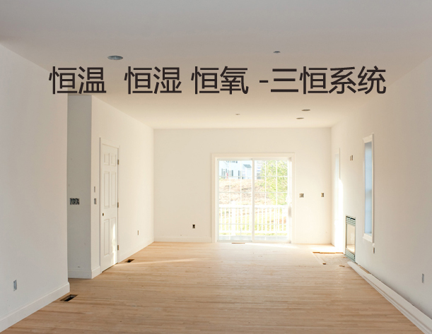 五恒系統品牌深入淺出剖析