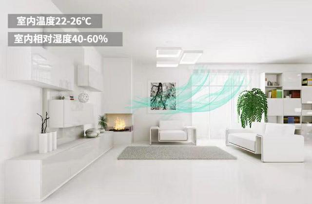 五恒系統的發展受哪些因素影響？