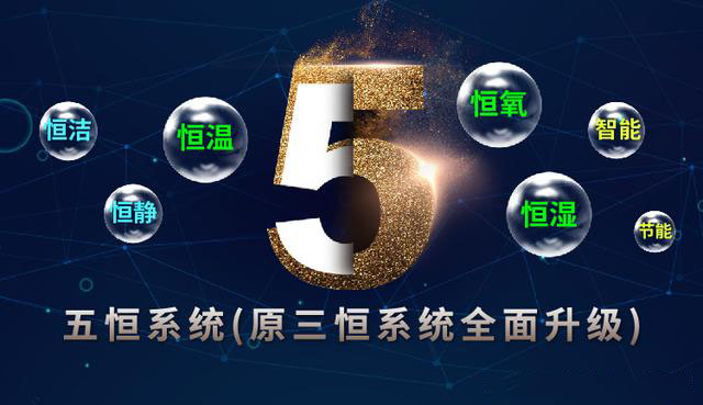 五恒系統的發展受哪些因素影響？